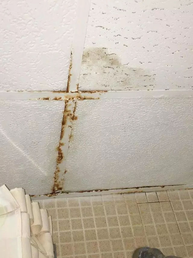 Americas Best Value Inn