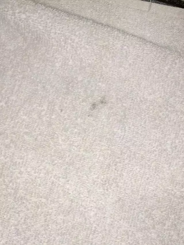 Americas Best Value Inn