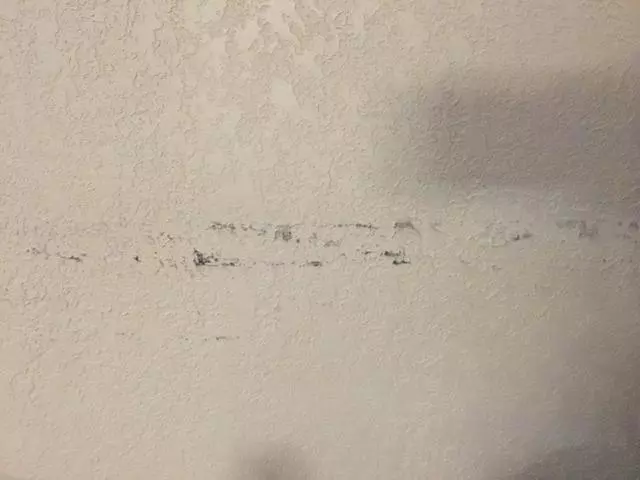 Americas Best Value Inn
