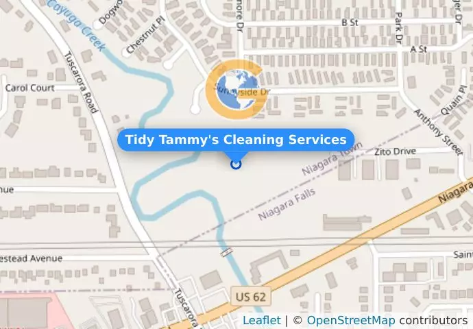 Tidy Tammy's Cleaning Services