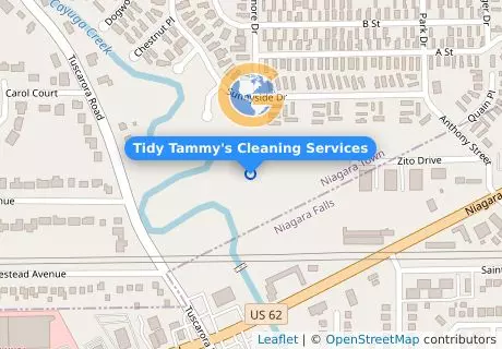 Tidy Tammy's Cleaning Services