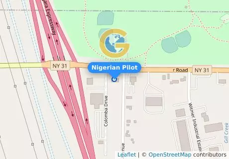 Nigerian Pilot