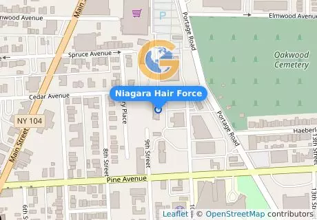 Niagara Hair Force
