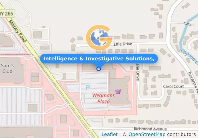 Intelligence & Investigative Solutions,