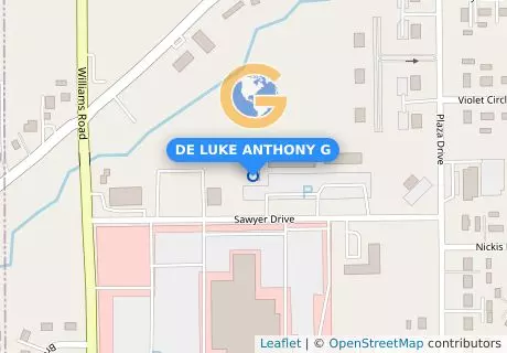 DE LUKE ANTHONY G