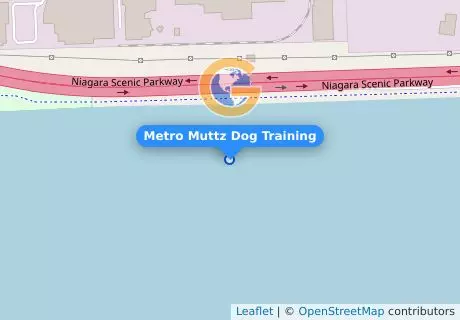 Metro Muttz Dog Training